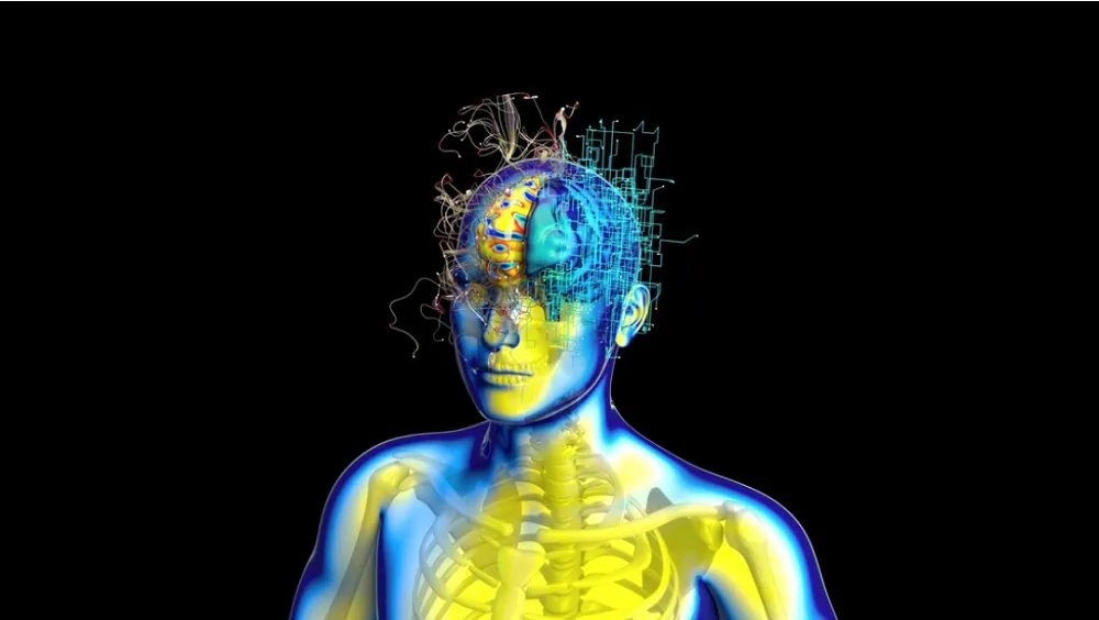 Digital illustration of a human figure with neural network patterns around the brain, representing concepts in convolutional neural networks and AI.