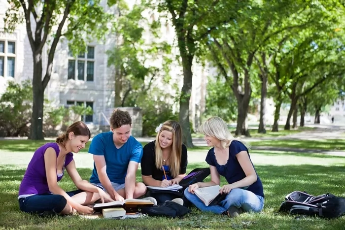 Group of students studying together outdoors with books and notes, representing flexible online diploma courses and learning support.