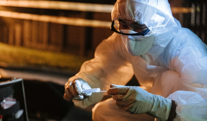 Professional analysing digital data on computer for forensic science and investigation course training and career development