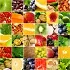 Free Online Nutrition Courses free nutrition courses nutritionist Free Online Nutrition Courses free nutrition courses nutritionist