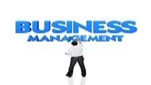 Person standing below large “Business Management” text, symbolizing leadership, planning, and strategic skills in advanced business management training.