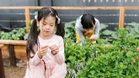 Child wearing headphones in a learning garden – explore autism awareness skills for teaching assistants with OHSC