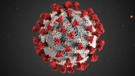 3D illustration of COVID-19 coronavirus particle – study prevention, risks and safety with OHSC short course.