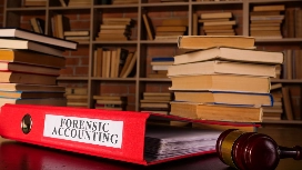 Forensic accountant analyzing financial records and evidence, representing OHSC’s online Forensic Accounting short course.