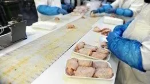 Food factory workers handling raw poultry with gloves on a production line, illustrating HACCP principles of contamination control in Level 5 training.