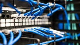 Network cables connected to a server rack, representing practical skills taught in network administrator courses at Level 4.