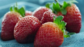 Fresh strawberries on a textured surface, symbolizing nutrient-rich whole foods, vitamins and healthy eating habits explored in nutrition courses.